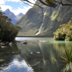 Oceania: New Zealand