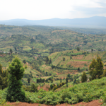 Africa: Rwanda