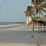 Africa: Gambia