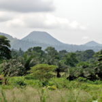 Africa: Equatorial Guinea