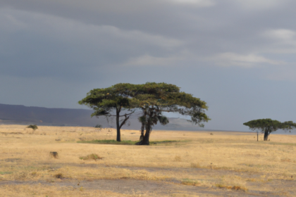 Africa: Tanzania