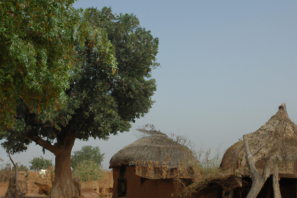 Africa: Burkina Faso