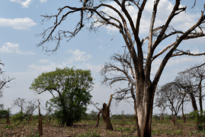 Africa: South Sudan
