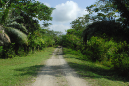 North America: Belize